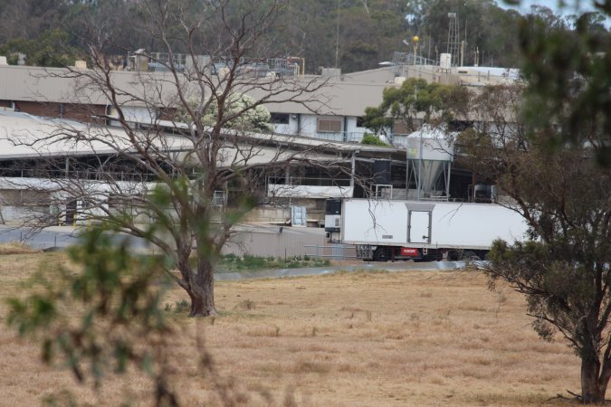 Corowa Slaughterhouse from public road, daytime