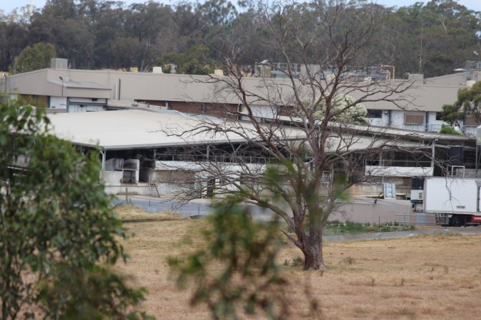 Corowa Slaughterhouse from public road, daytime