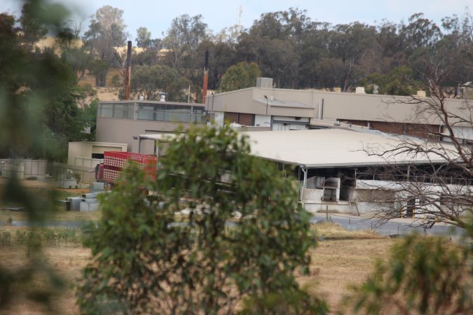 Corowa Slaughterhouse from public road, daytime
