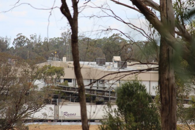 Corowa Slaughterhouse from public road, daytime