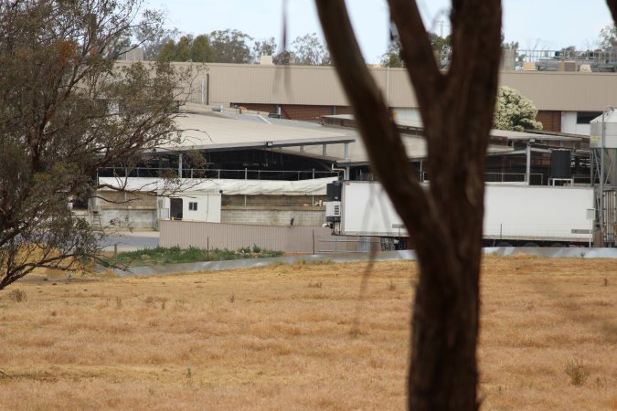 Corowa Slaughterhouse from public road, daytime