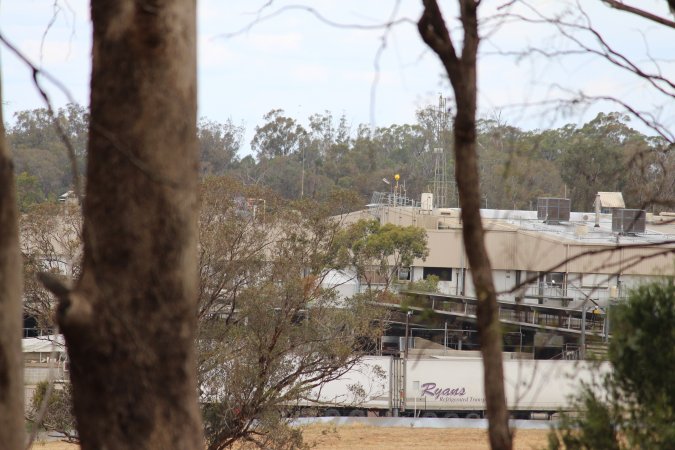 Corowa Slaughterhouse from public road, daytime