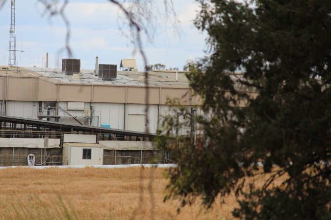 Corowa Slaughterhouse from public road, daytime