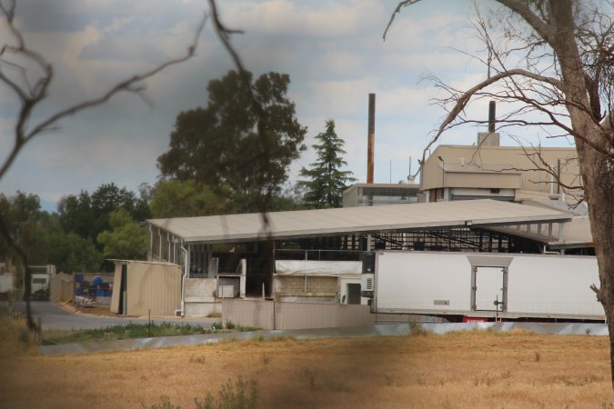 Corowa Slaughterhouse from public road, daytime