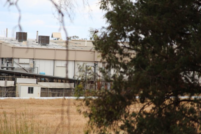 Corowa Slaughterhouse from public road, daytime