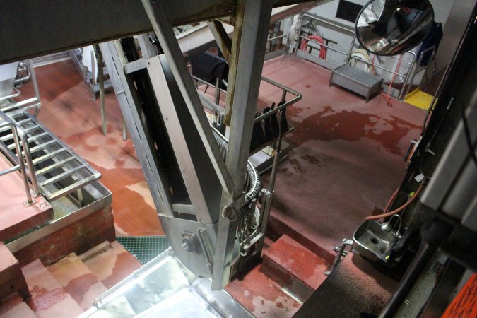 Killing and processing area after gas chamber
