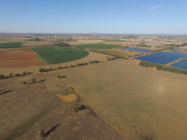 Drone flyover of Corowa Piggery