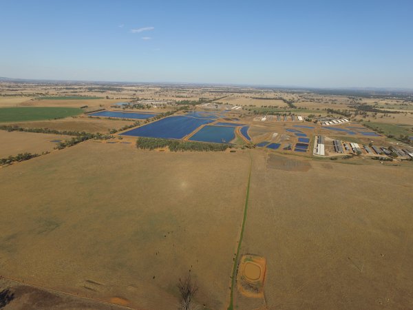 Drone flyover of Corowa Piggery