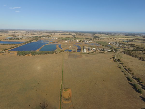 Drone flyover of Corowa Piggery