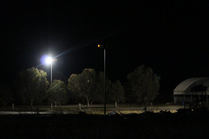 Big River Pork slaughterhouse at night