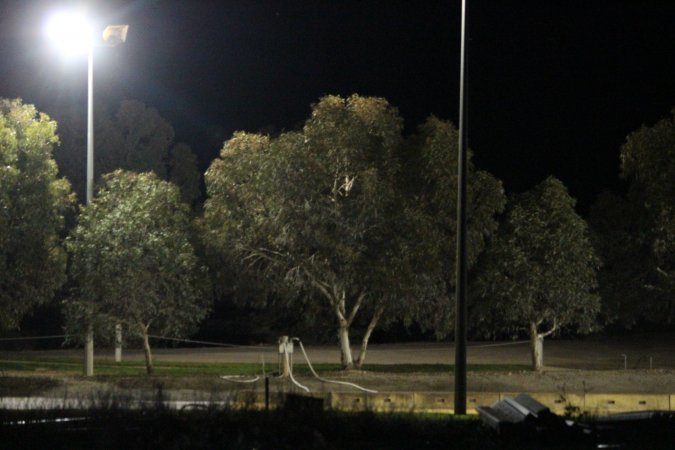 Big River Pork slaughterhouse at night