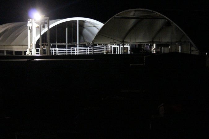 Big River Pork slaughterhouse at night