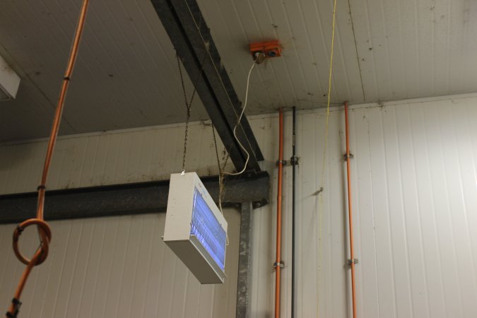 Ceiling of room containing gas chamber