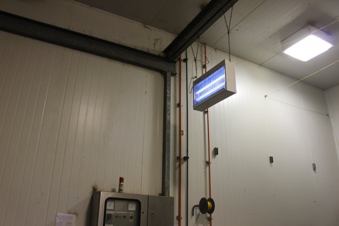 Ceiling of room containing gas chamber