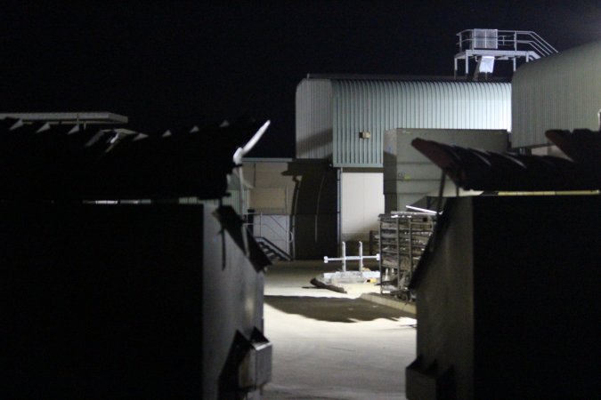 Big River Pork slaughterhouse at night