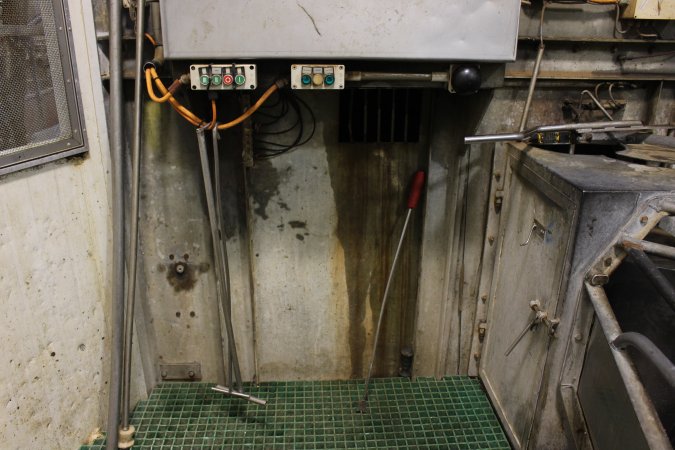 Gas chamber at Big River Pork slaughterhouse