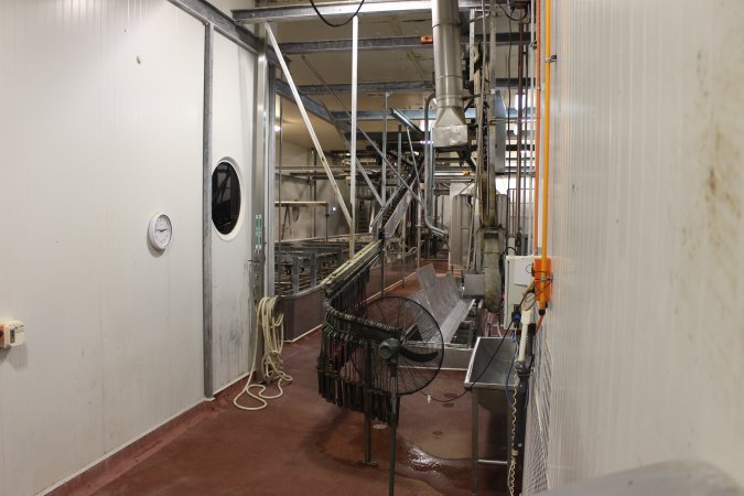 Killing / processing room after pigs tipped out of gas chamber