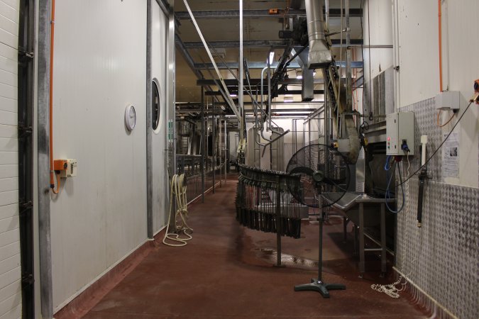 Killing / processing room after pigs tipped out of gas chamber