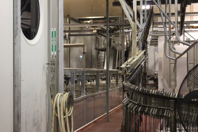 Killing / processing room after pigs tipped out of gas chamber