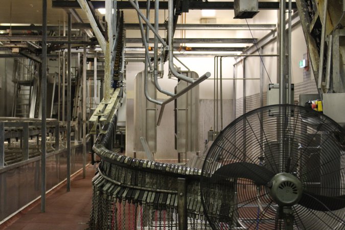 Killing / processing room after pigs tipped out of gas chamber