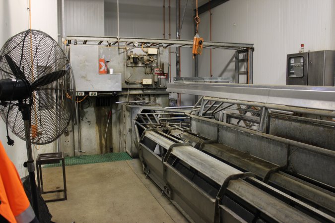 Gas chamber at Big River Pork slaughterhouse