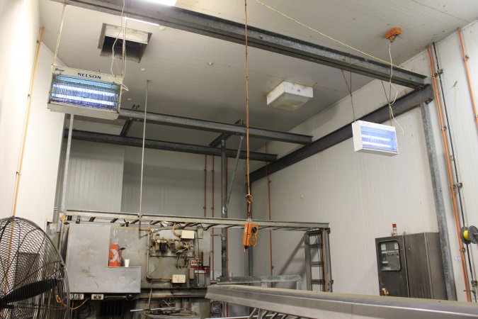 Gas chamber at Big River Pork slaughterhouse