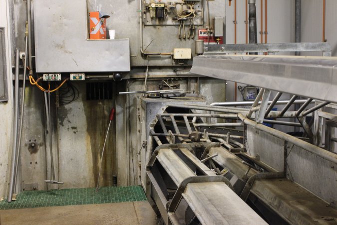 Gas chamber at Big River Pork slaughterhouse