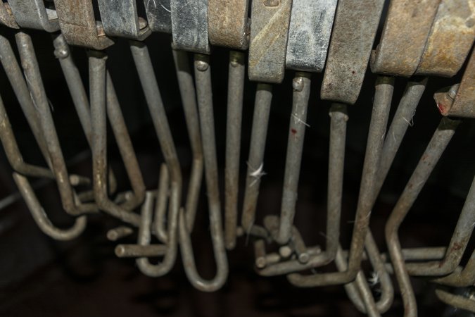 Slaughterhouse shackles