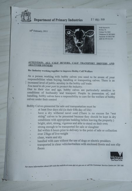 Industry paperwork about bobby calf slaughter