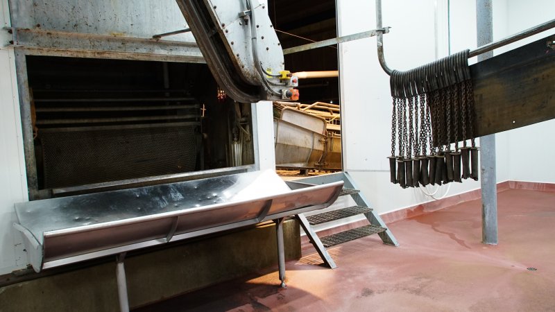 Table where pigs are tipped out from gas chamber