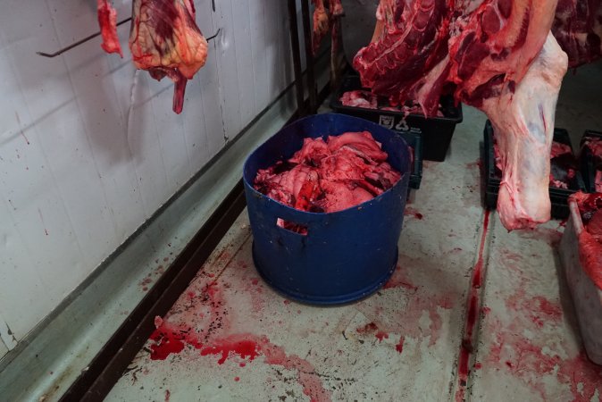 Carcasses in slaughterhouse chiller room