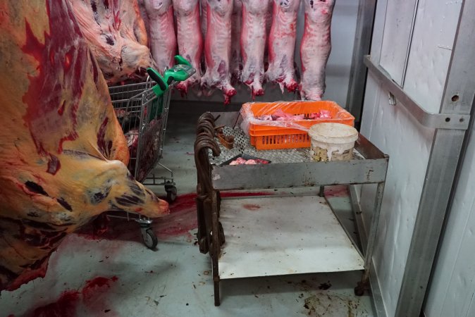 Carcasses in slaughterhouse chiller room