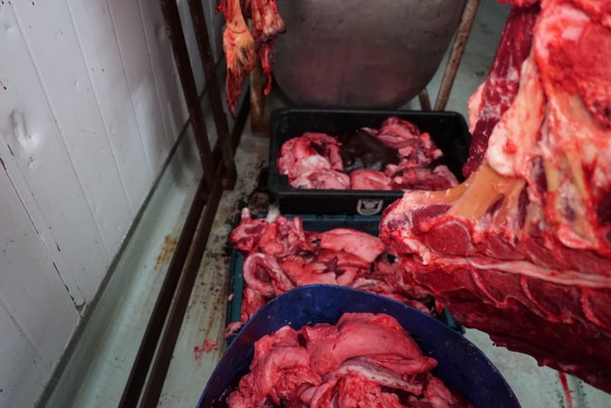 Carcasses in slaughterhouse chiller room