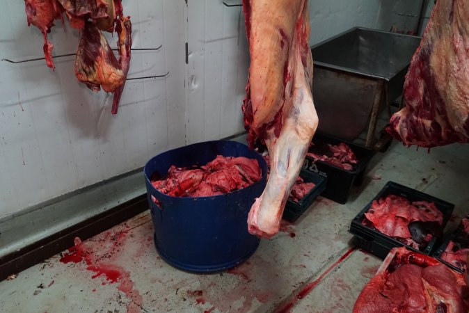 Carcasses in slaughterhouse chiller room