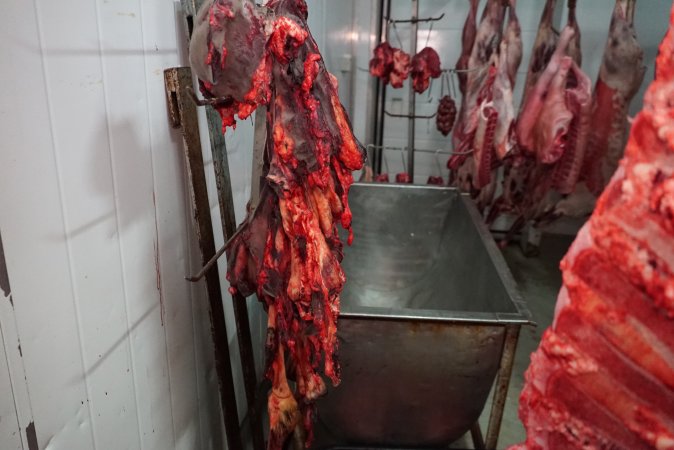 Carcasses in slaughterhouse chiller room