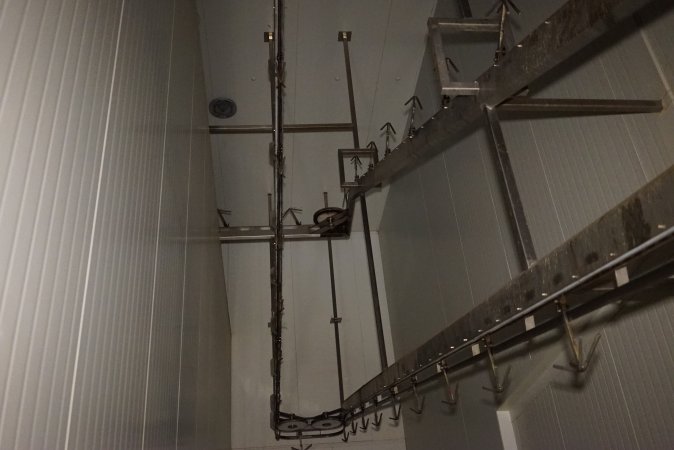 Automated shackle line carries dead animals up to second floor for processing