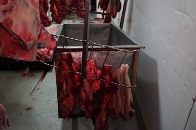 Carcasses in slaughterhouse chiller room