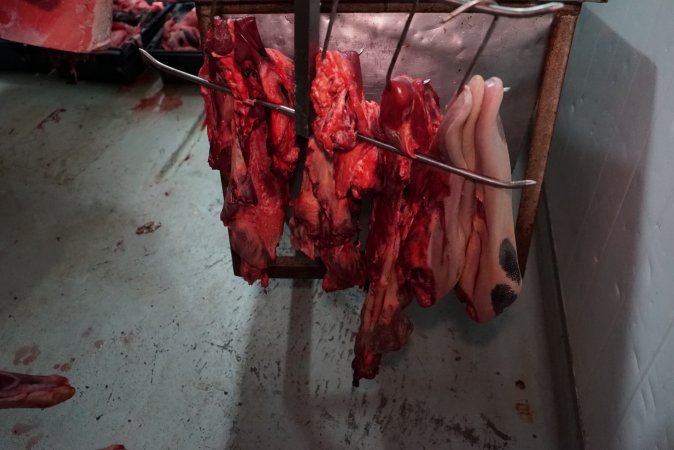 Carcasses in slaughterhouse chiller room