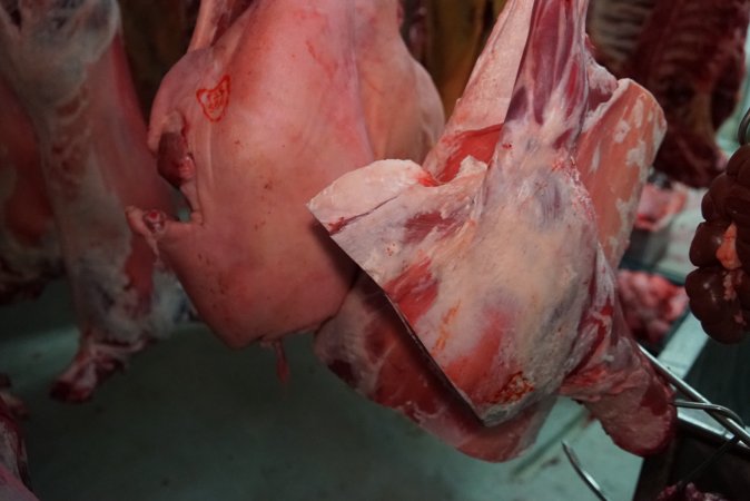 Carcasses in slaughterhouse chiller room