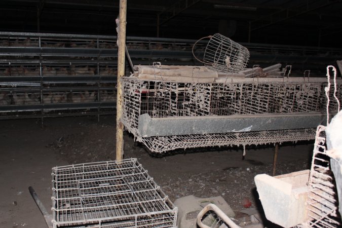 Empty cages in foreground, full three tiers in background