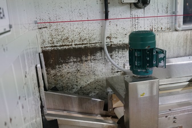 Conveyor belt leading into sealed maceration room (left)