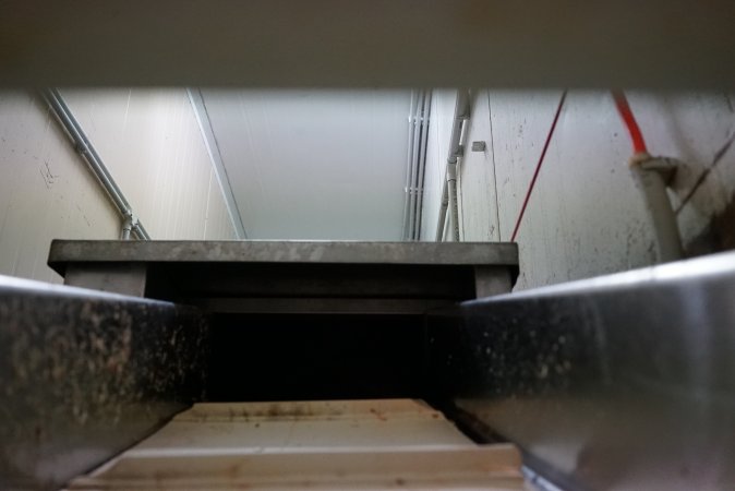 Conveyor belt leading into macerator