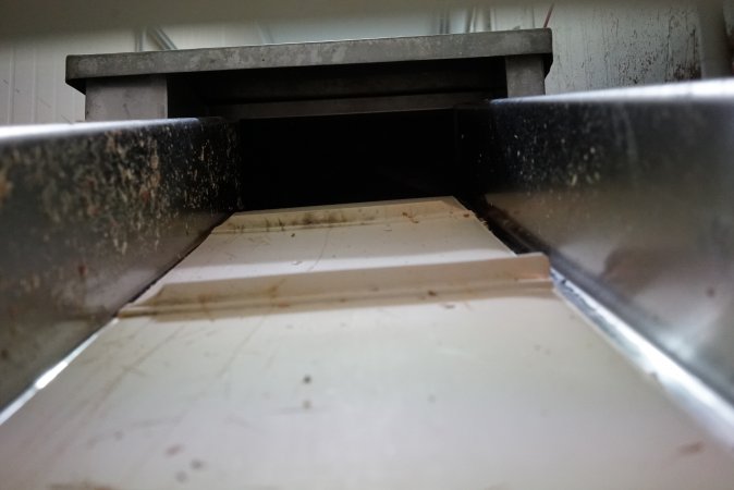 Conveyor belt leading into macerator