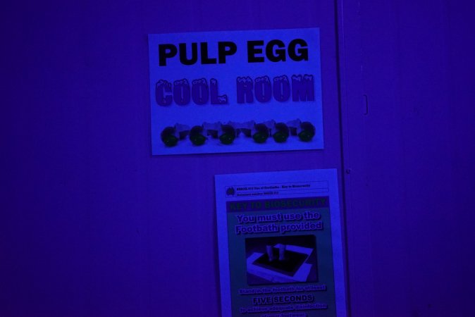 Sign: Pulp Egg Cool Room