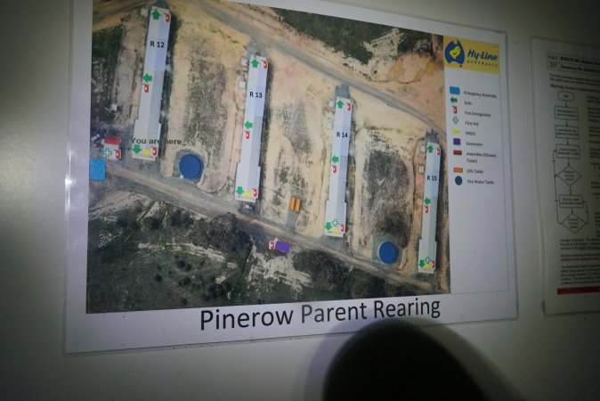 Pinerow parent rearing module map
