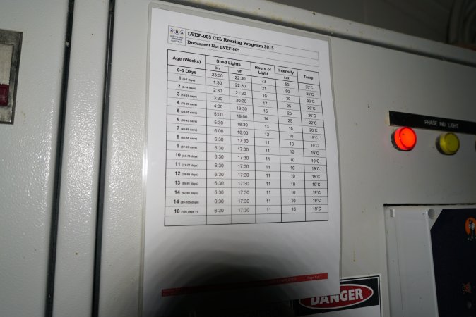 Light and temperature schedule for pullet rearing sheds