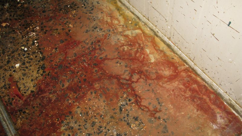 Bloody floor of macerator room during operation