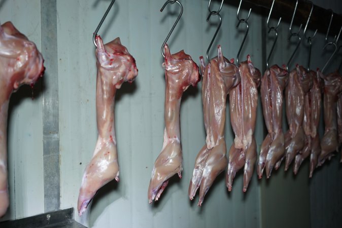 Slaughtered and skinned rabbits hanging in home slaughterhouse