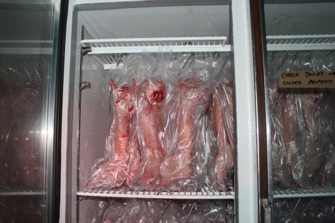 Slaughtered, skinned rabbits hanging in fridge