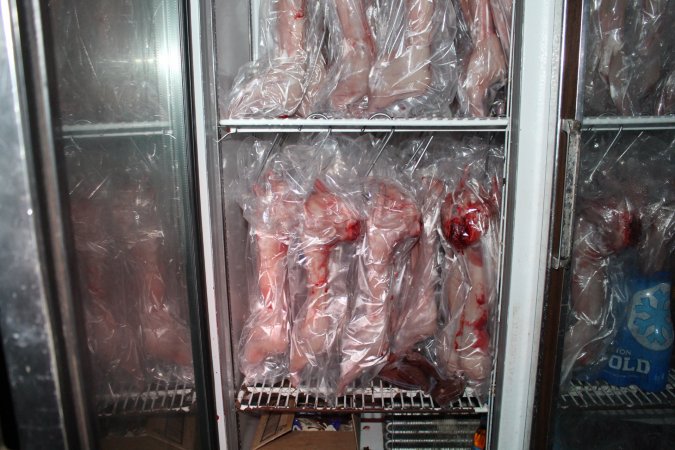 Slaughtered, skinned rabbits hanging in fridge